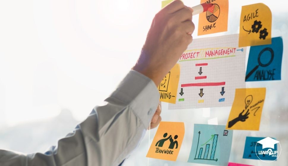 Project Management - Beginner